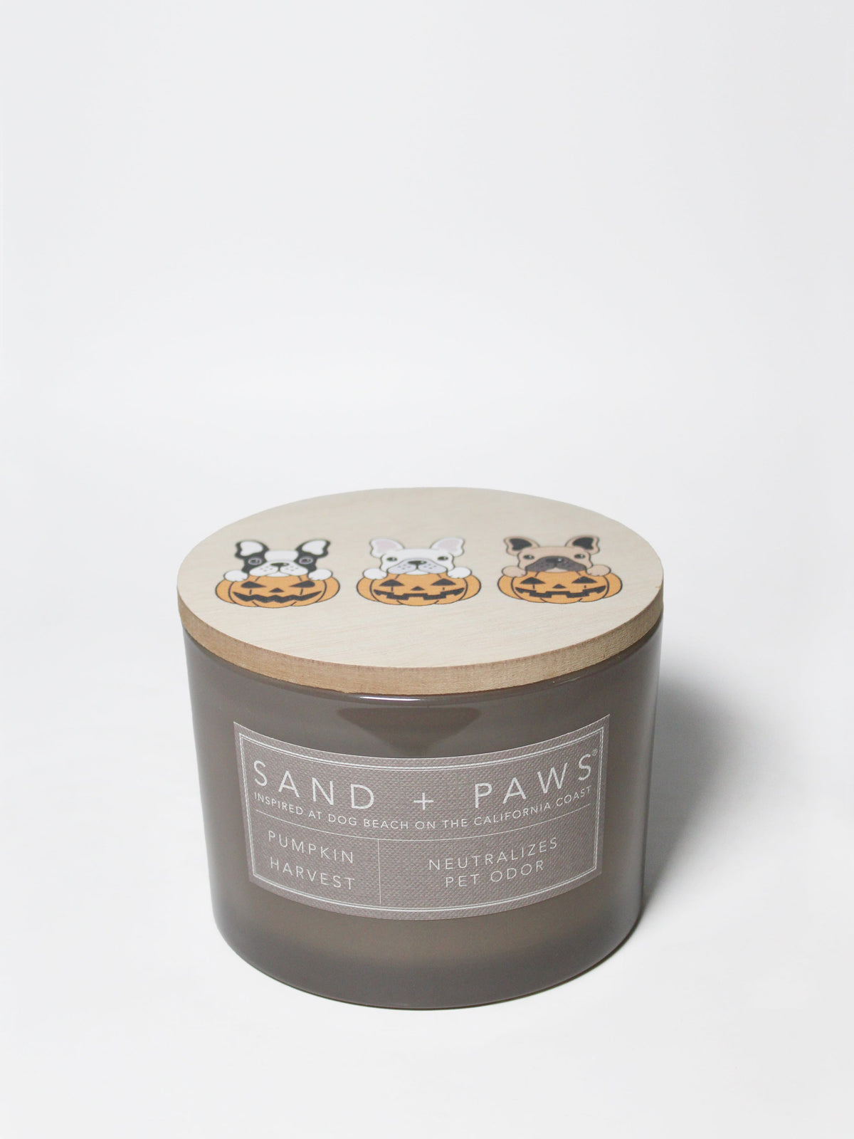 Signature Sand + Paws Pumpkin Harvest 12 oz scented candle