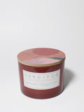 Signature Sun-n-Fun 12 oz scented candle
