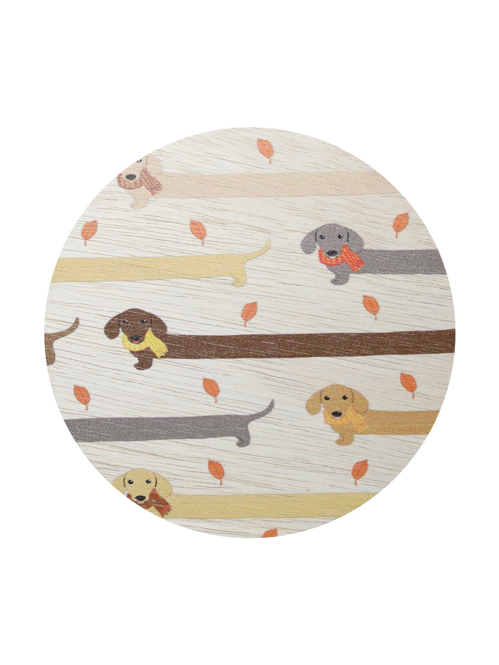 Signature Sand + Paws Apple Cider 12 oz scented candle