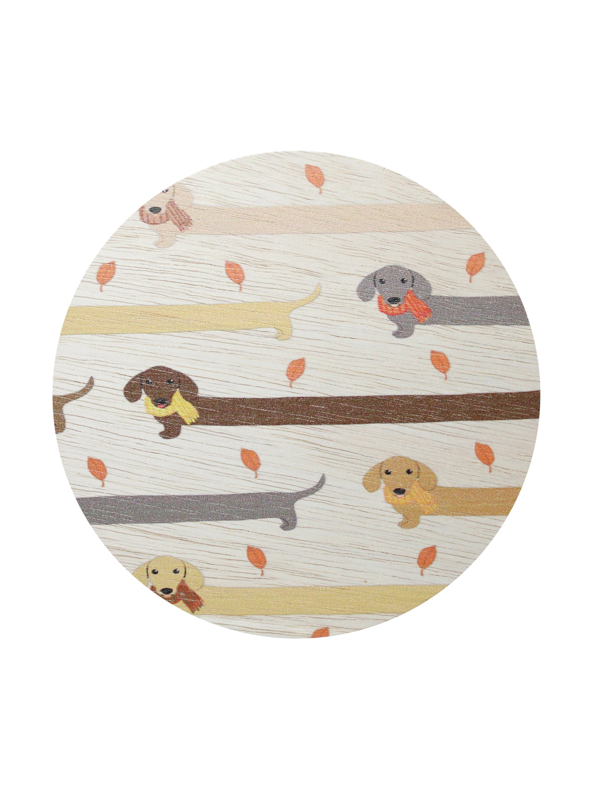 Signature Sand + Paws Apple Cider 12 oz scented candle