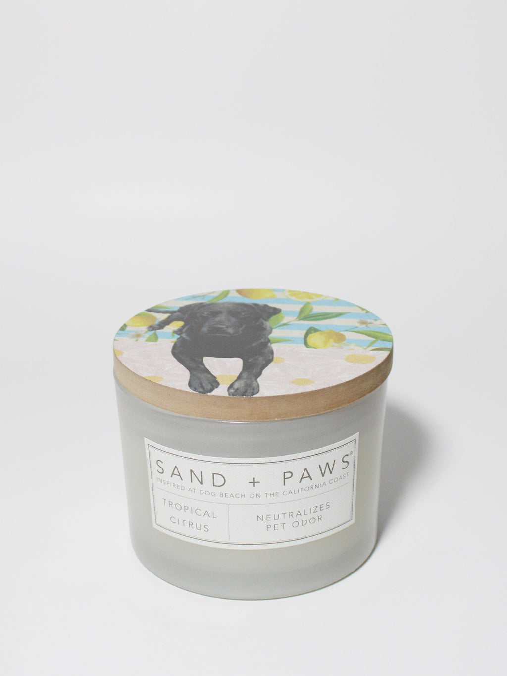 Signature Sand + Paws Tropical Citrus 12 oz scented candle