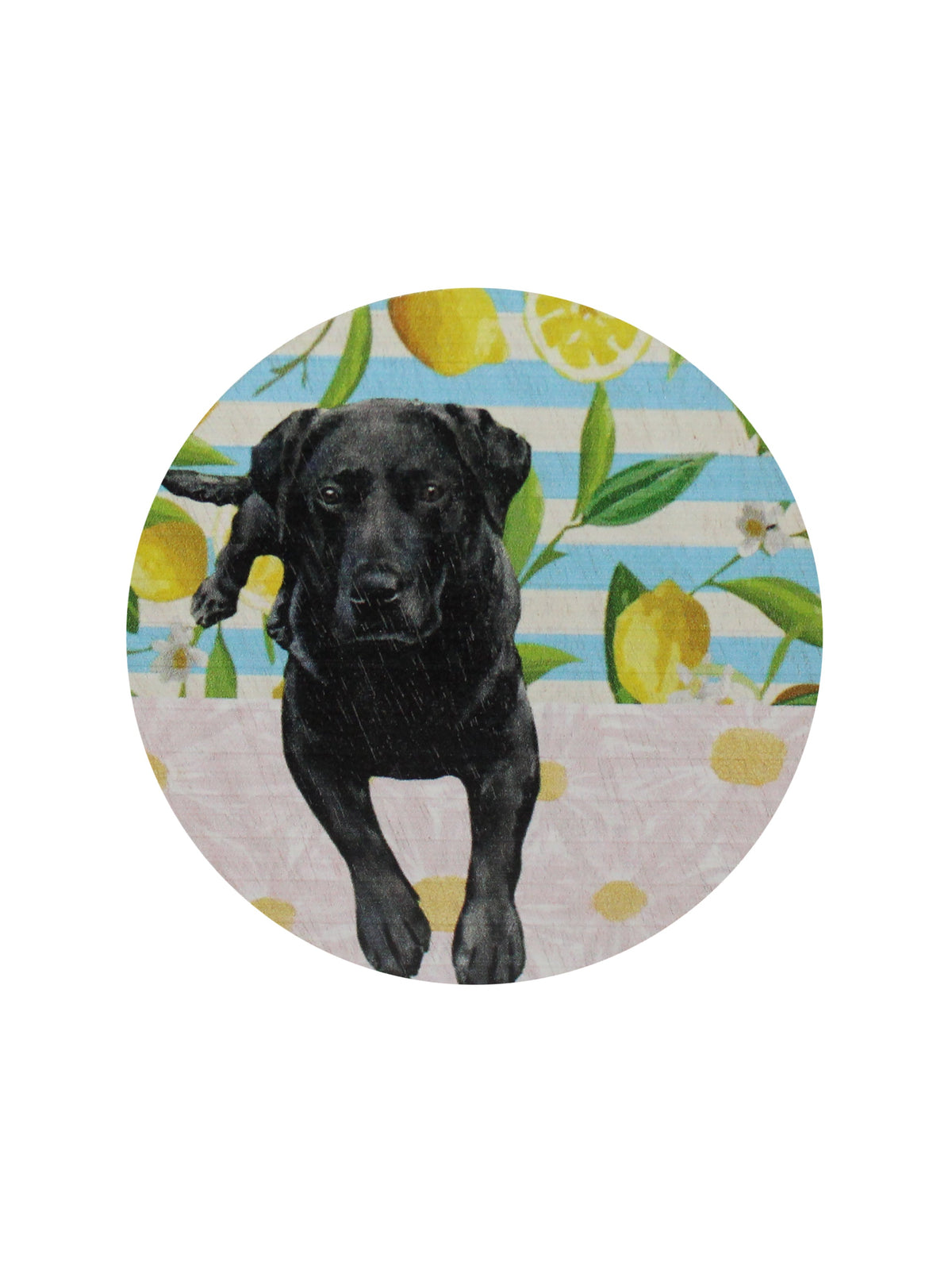 Signature Sand + Paws Tropical Citrus 12 oz scented candle