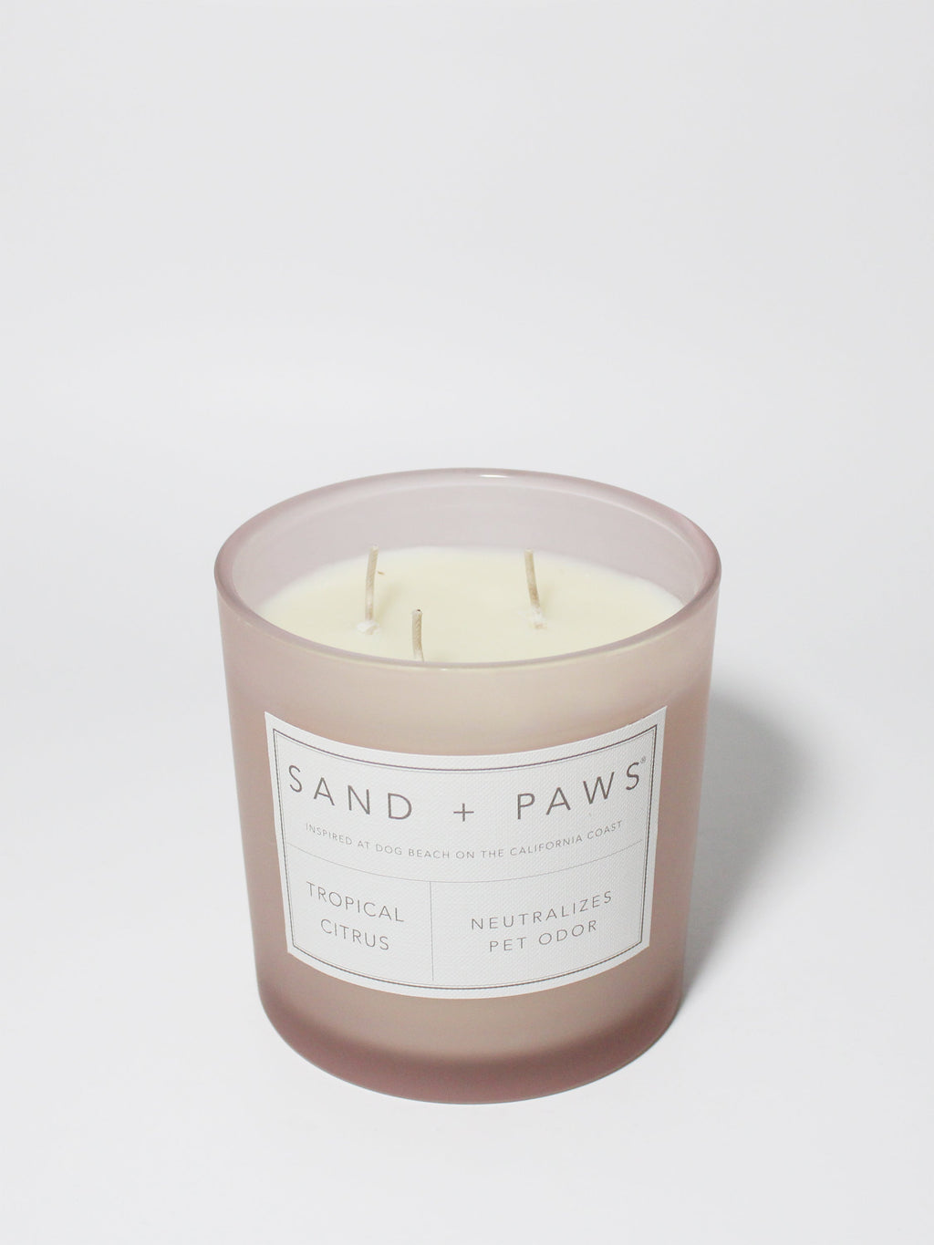 Signature Sand + Paws Tropical Citrus 21 oz scented candle