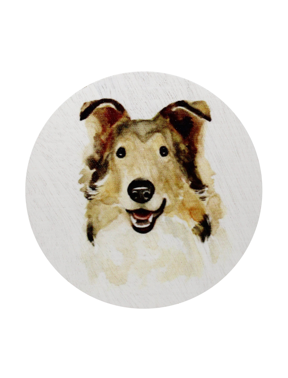 Signature Sand + Paws Desert Rain 12 oz scented candle