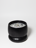 Signature Speakeasy 10 oz scented candle