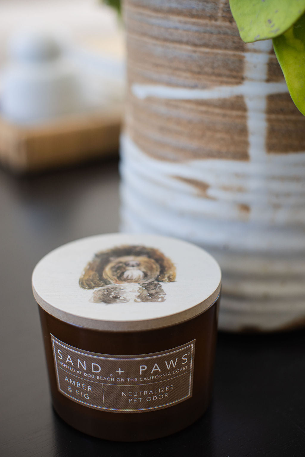 Signature Sand + Paws Amber & Fig 12 oz scented candle
