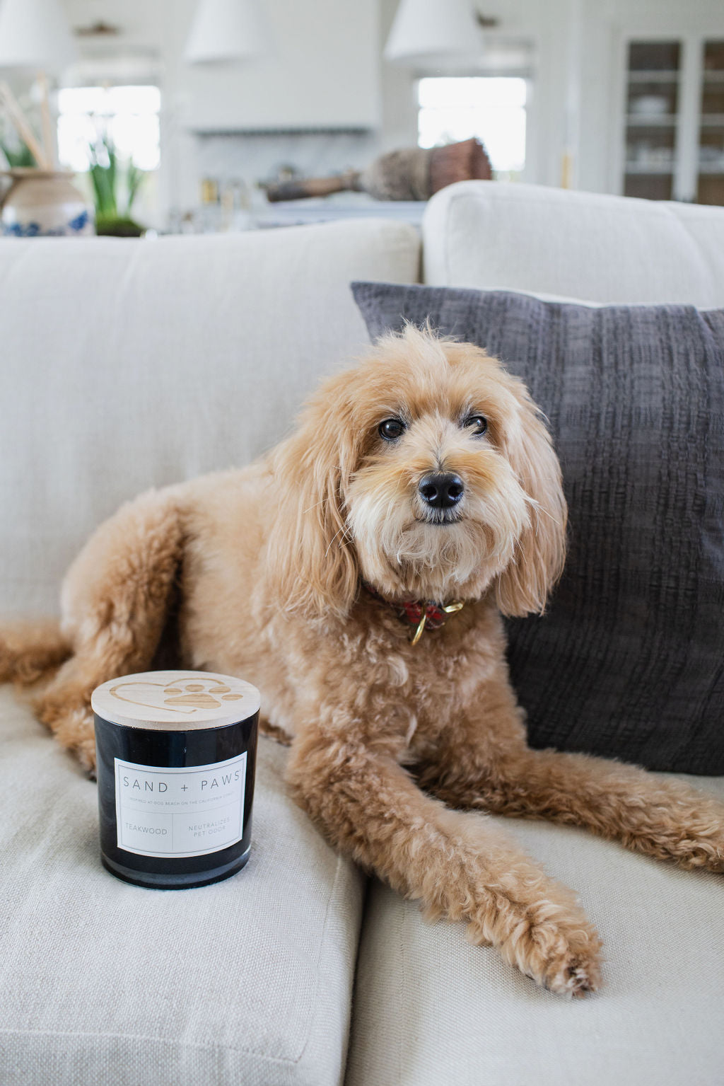 Signature Sand + Paws Teakwood 21 oz scented candle