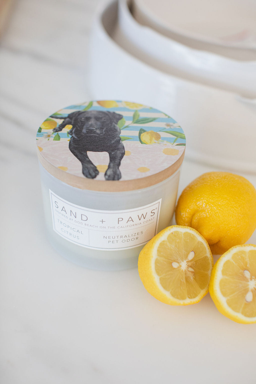 Signature Sand + Paws Tropical Citrus 12 oz scented candle