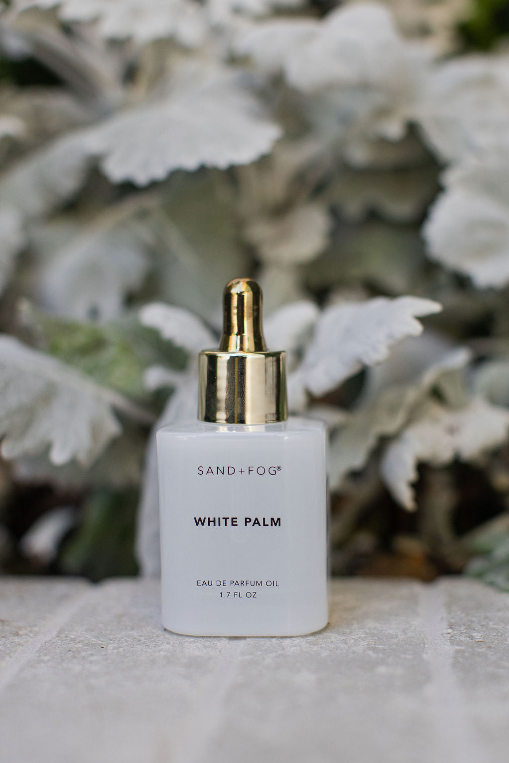 Elegant White Palm 50 ml Perfume Oil Dropper