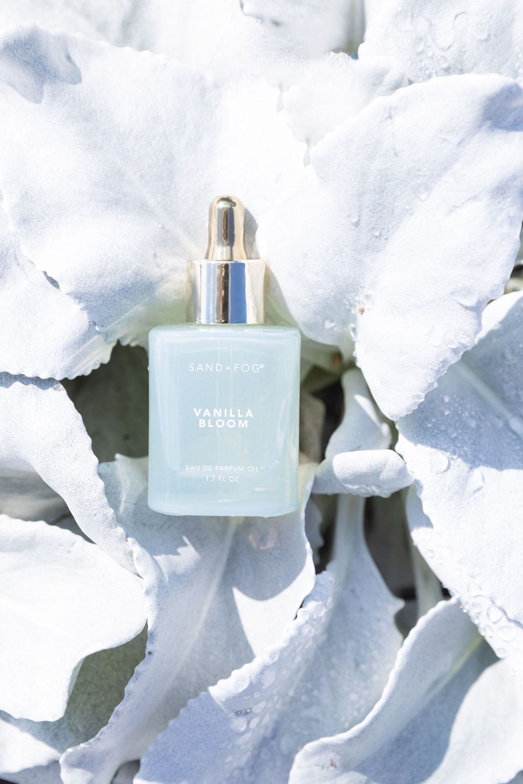 Elegant Vanilla Bloom 50 ml Perfume Oil Dropper