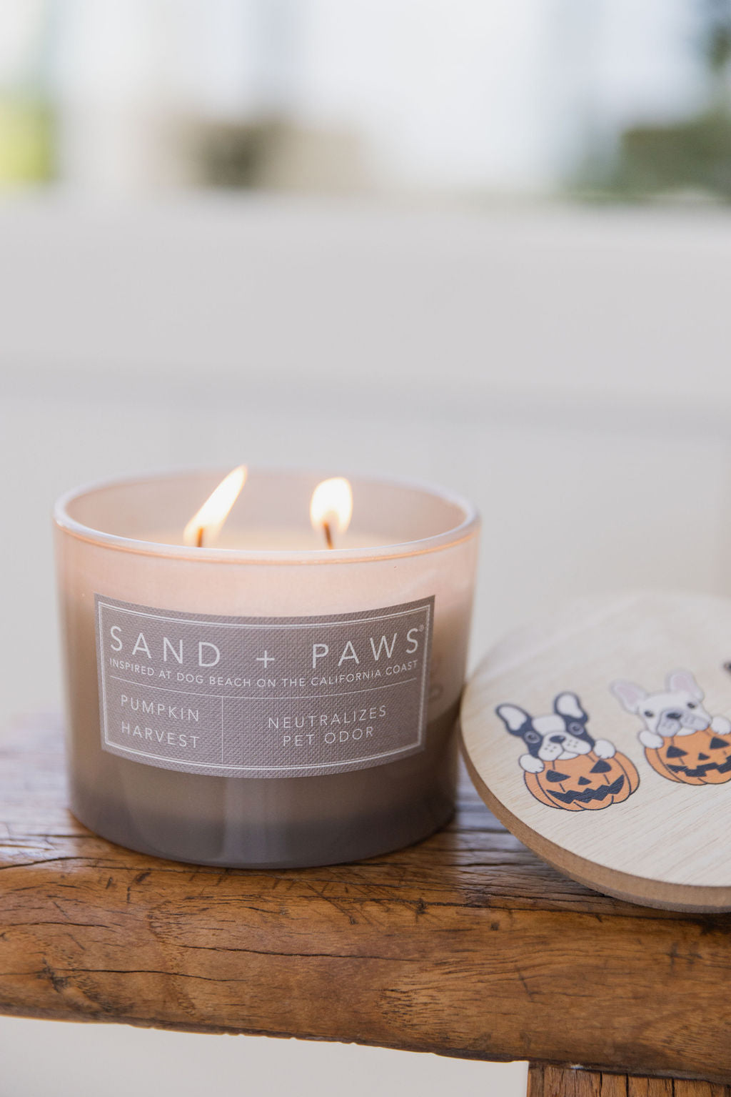 Signature Sand + Paws Pumpkin Harvest 12 oz scented candle