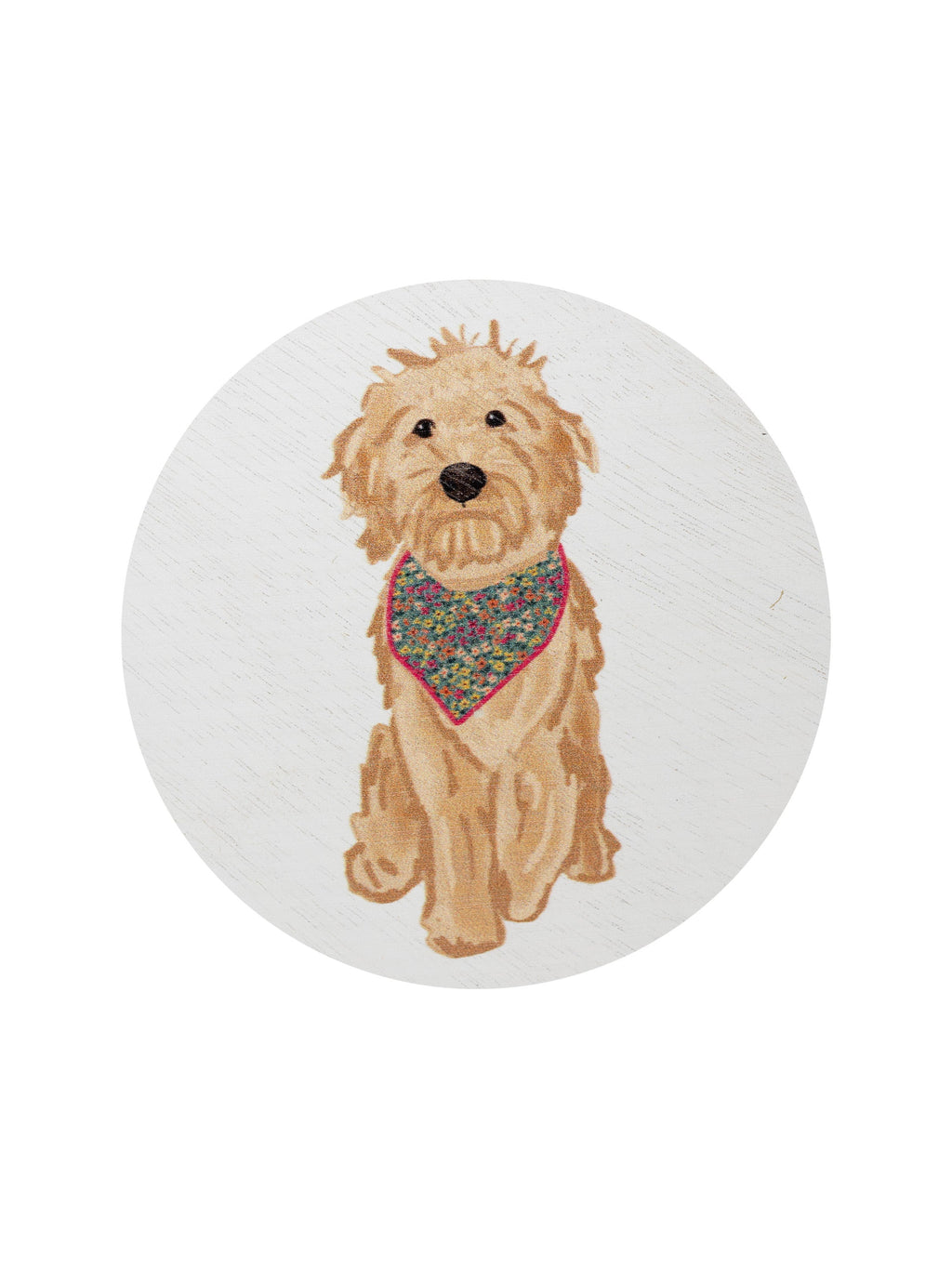Signature Sand + Paws Laundry Day 12 oz scented candle