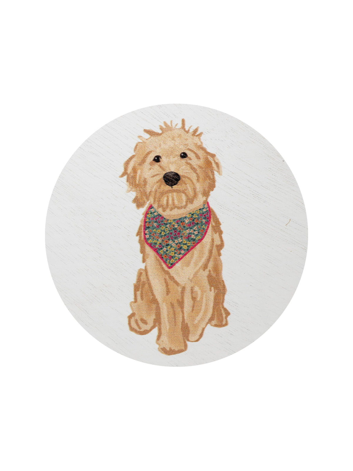 Signature Sand + Paws Laundry Day 12 oz scented candle