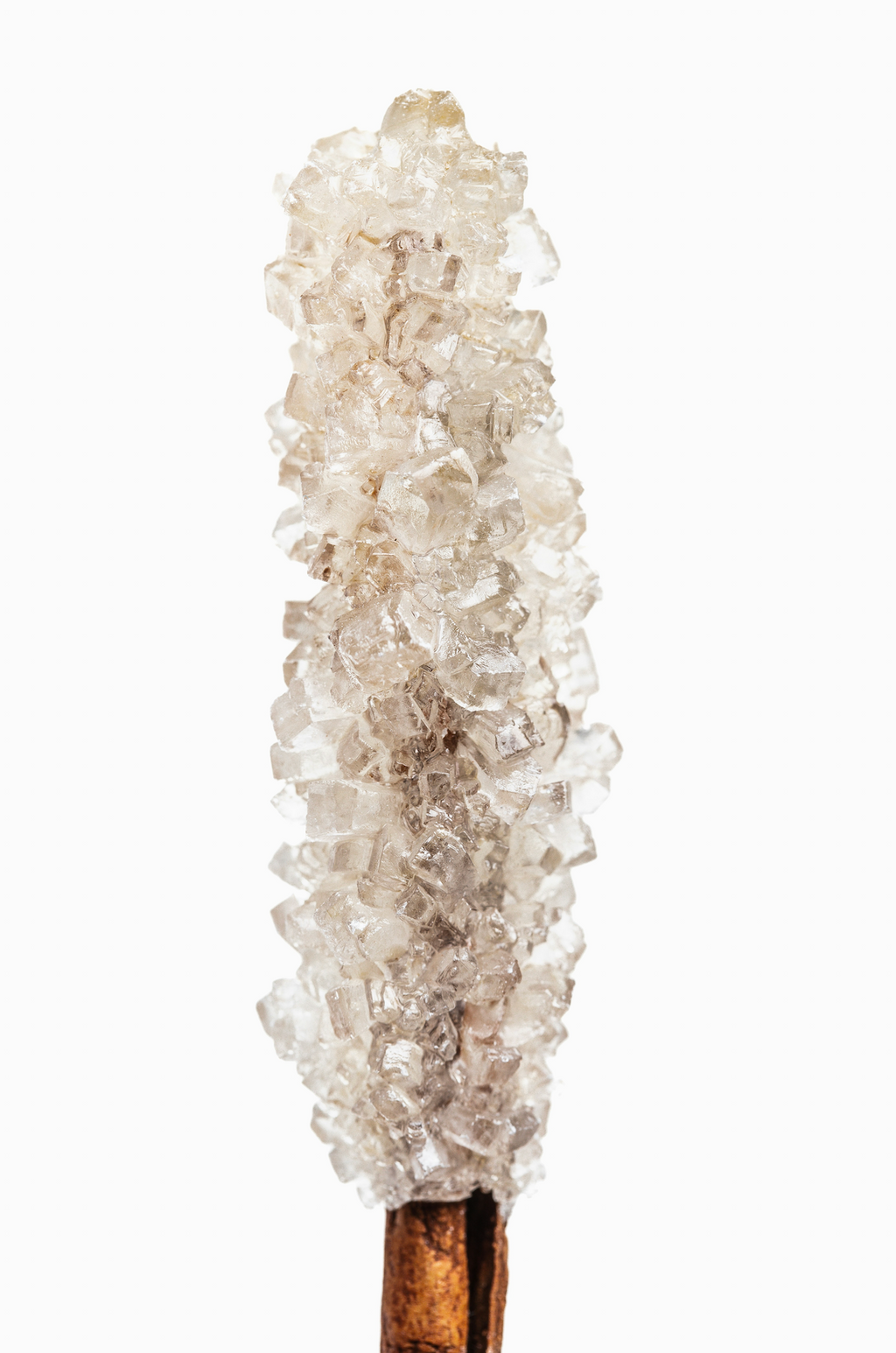 Elegant Vanilla Sugar 50ml Perfume Oil Dropper