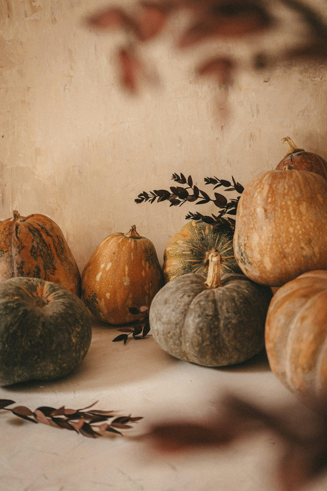 Elegant Pumpkin Cr¨¨me 50 ml Perfume Oil Dropper