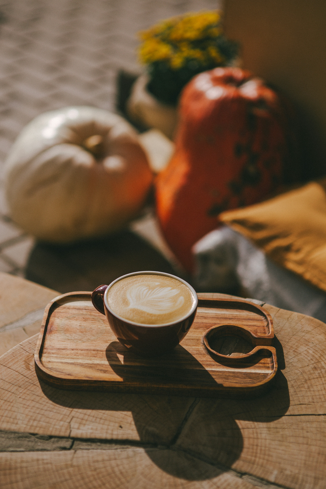 Signature Sand + Paws Pumpkin Soy Latte 12 oz scented candle