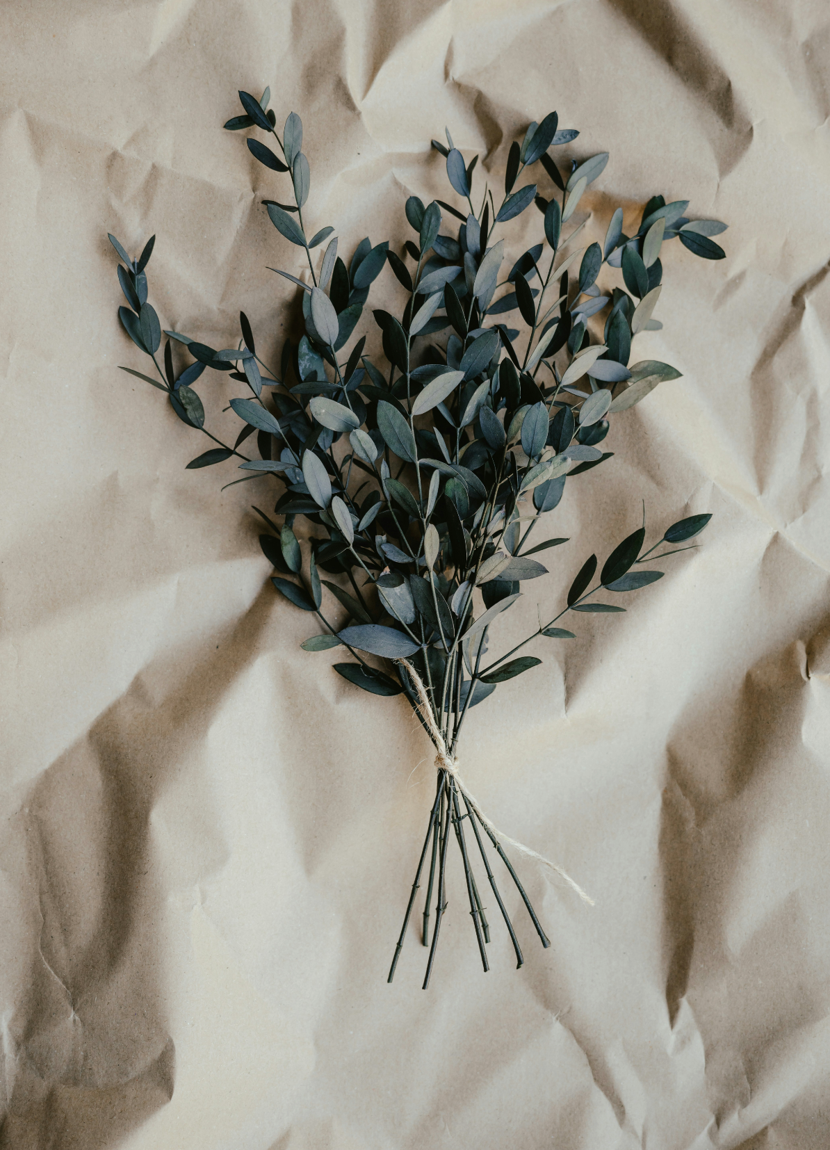 Aromatic Eucalyptus 107 ml Room Spray