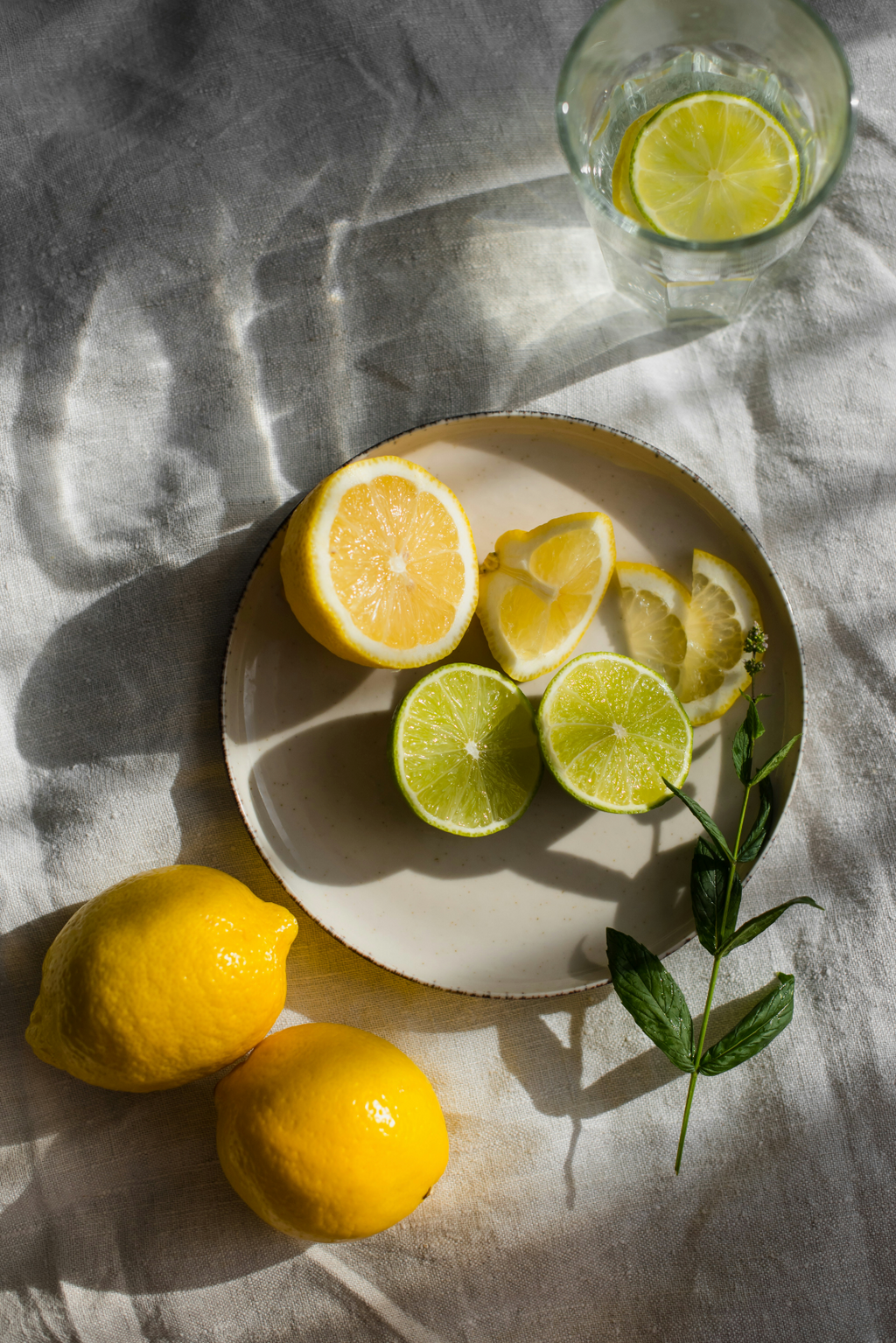 Signature Sand + Paws Limoncello 12 oz scented candle