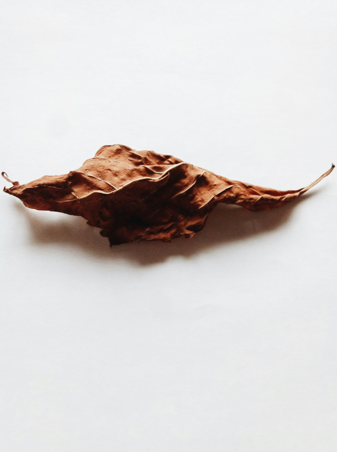 Aromatic Vanilla Tobacco 100 ml Room Spray