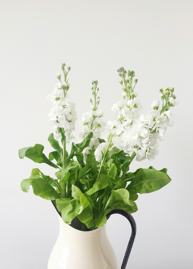 Signature White Flowers Natural Home 11.5 oz scented candle