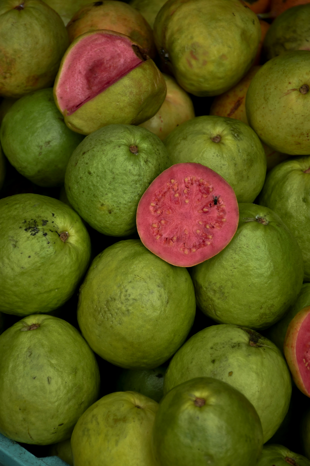 Signature Paradise Guava 12 oz scented candle