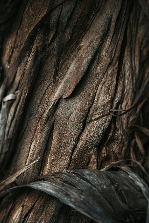 Signature Vanilla Sandalwood 12 oz scented candle
