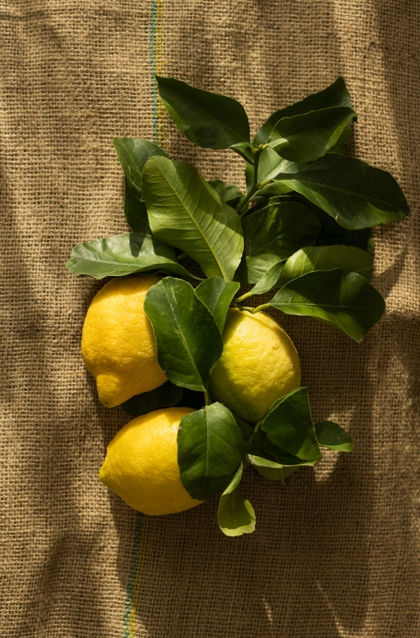 Refreshing Olive Lemon Modern Heirloom 15.2 oz Liquid Hand Soap
