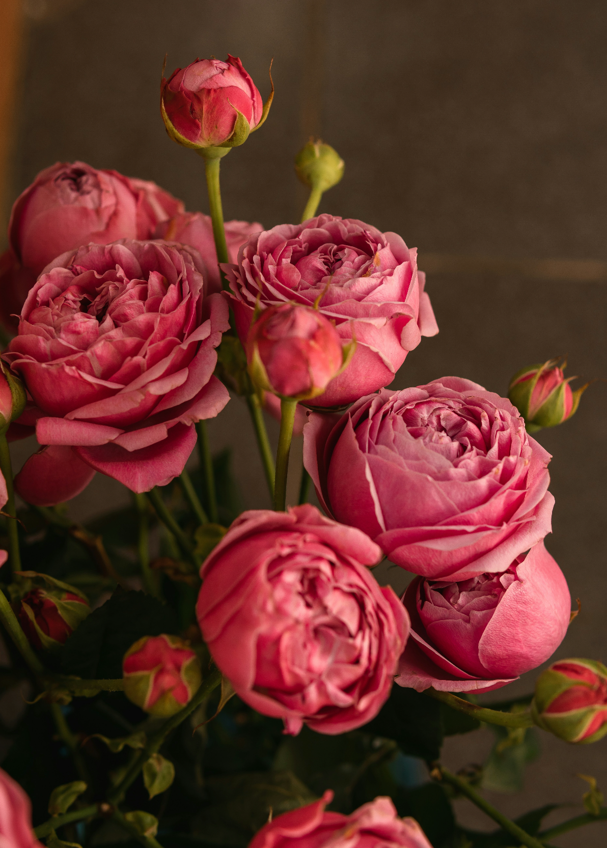 Elegant Rose & Peony 50 ml Perfume Oil Dropper