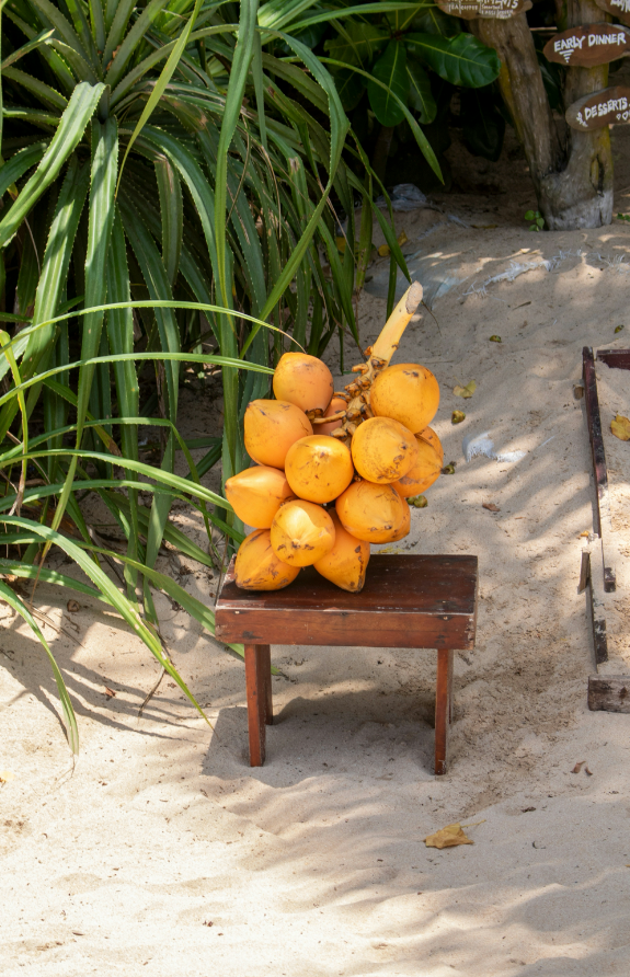 Elegant Coconut Blossom 50 ml Perfume Oil Dropper