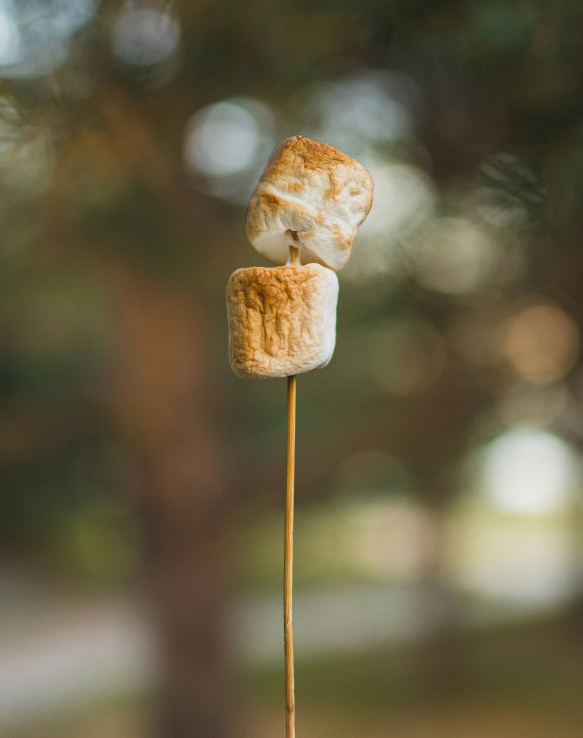 Elegant Toasted Marshmallow 50ml Perfume Oil Dropper