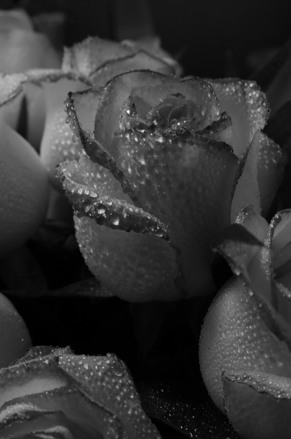 Elegant Rose Dew 50ml Perfume Oil Dropper