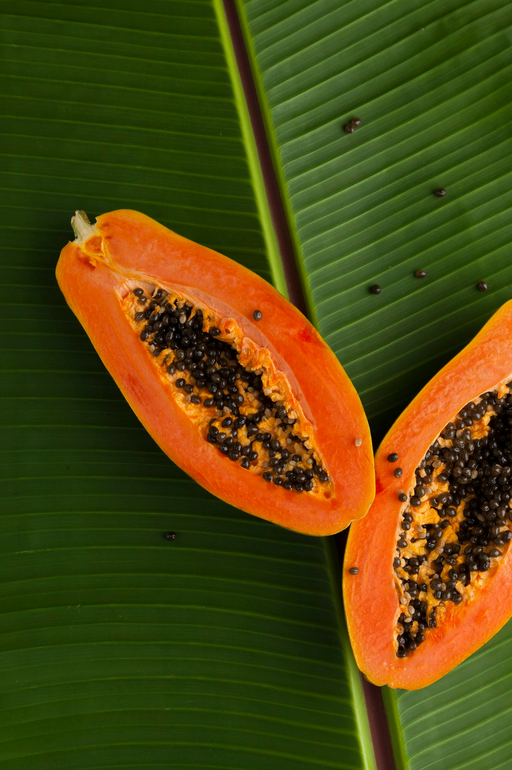 Signature Island Papaya 10 oz scented candle