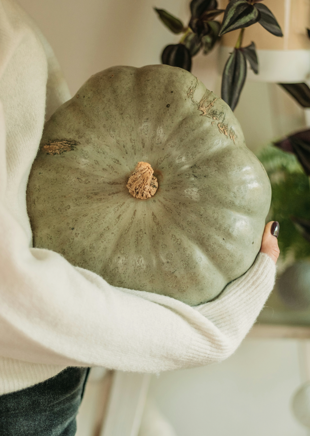 Refreshing Sage Pumpkin 8.45 oz Liquid Hand Soap