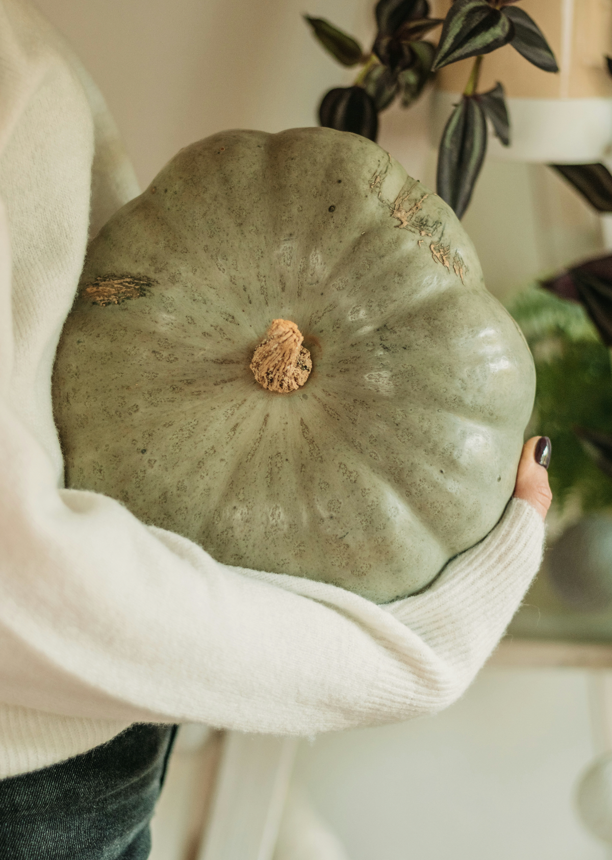 Refreshing Sage Pumpkin 8.45 oz Liquid Hand Soap