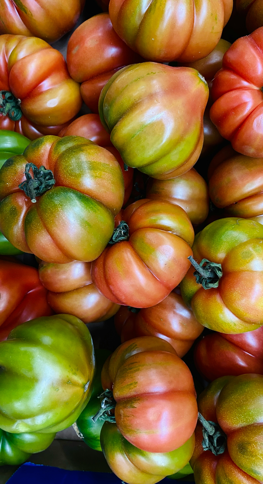 Signature Sicilian Tomato 12 oz scented candle