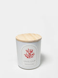Signature Tropical Citrus 10 oz scented candle