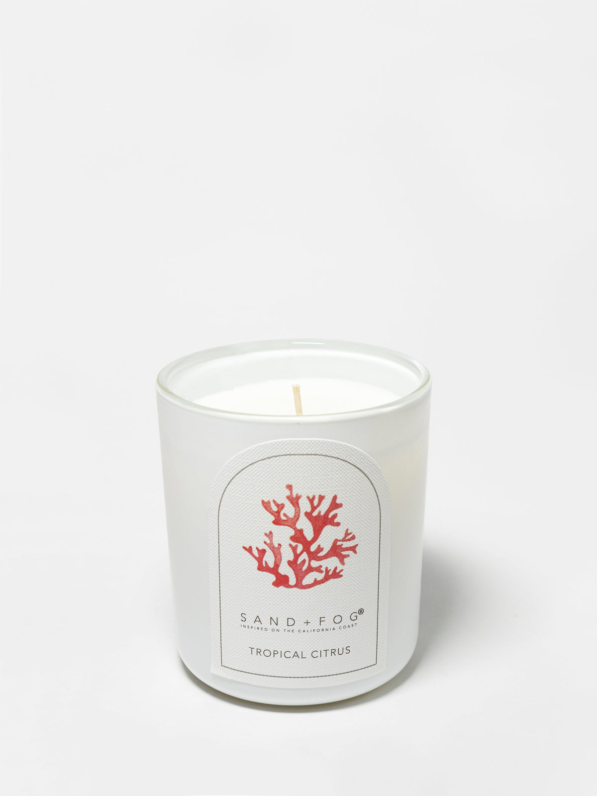 Signature Tropical Citrus 10 oz scented candle