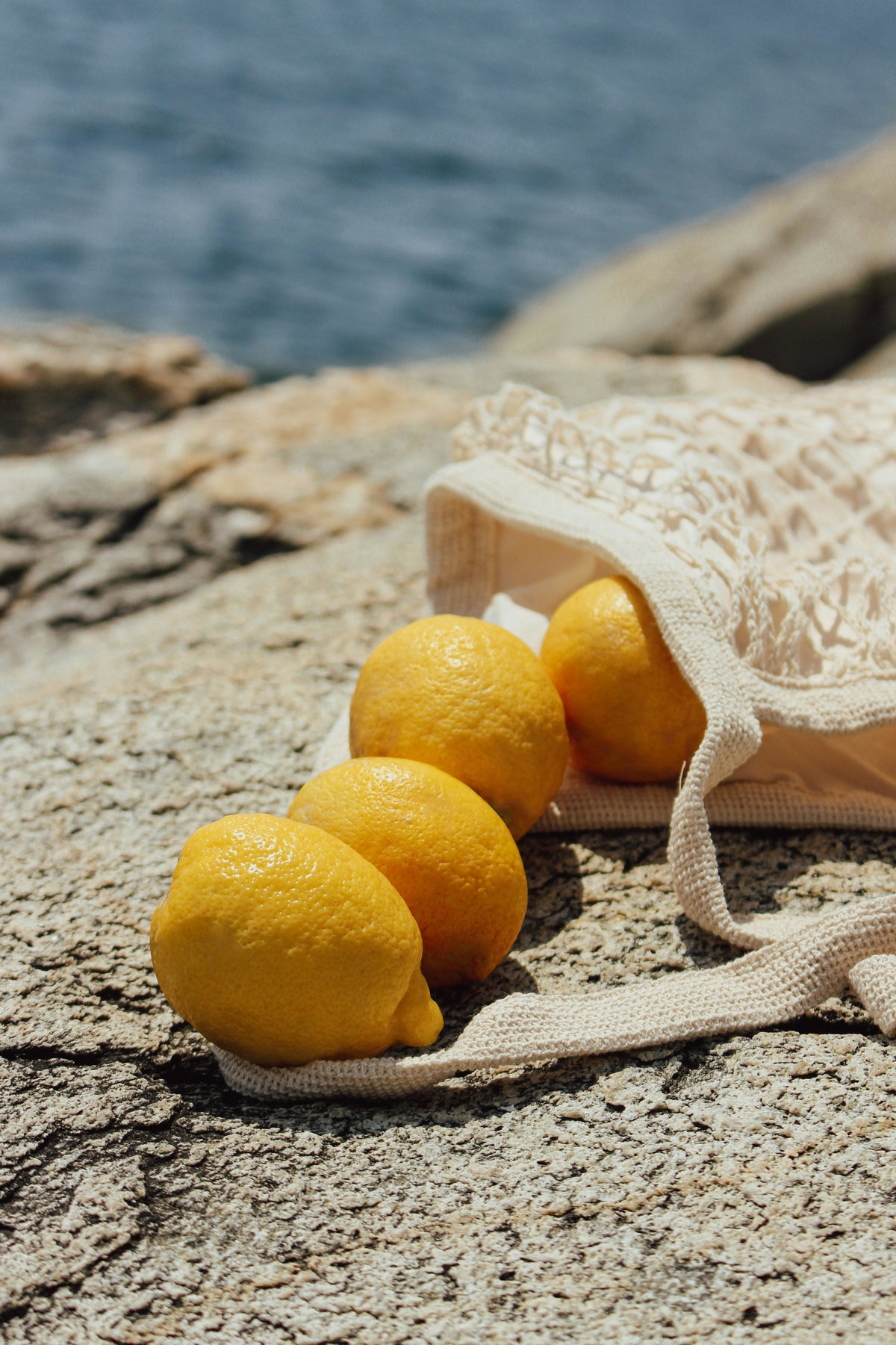 Signature Italian Citrus 8 oz scented candle