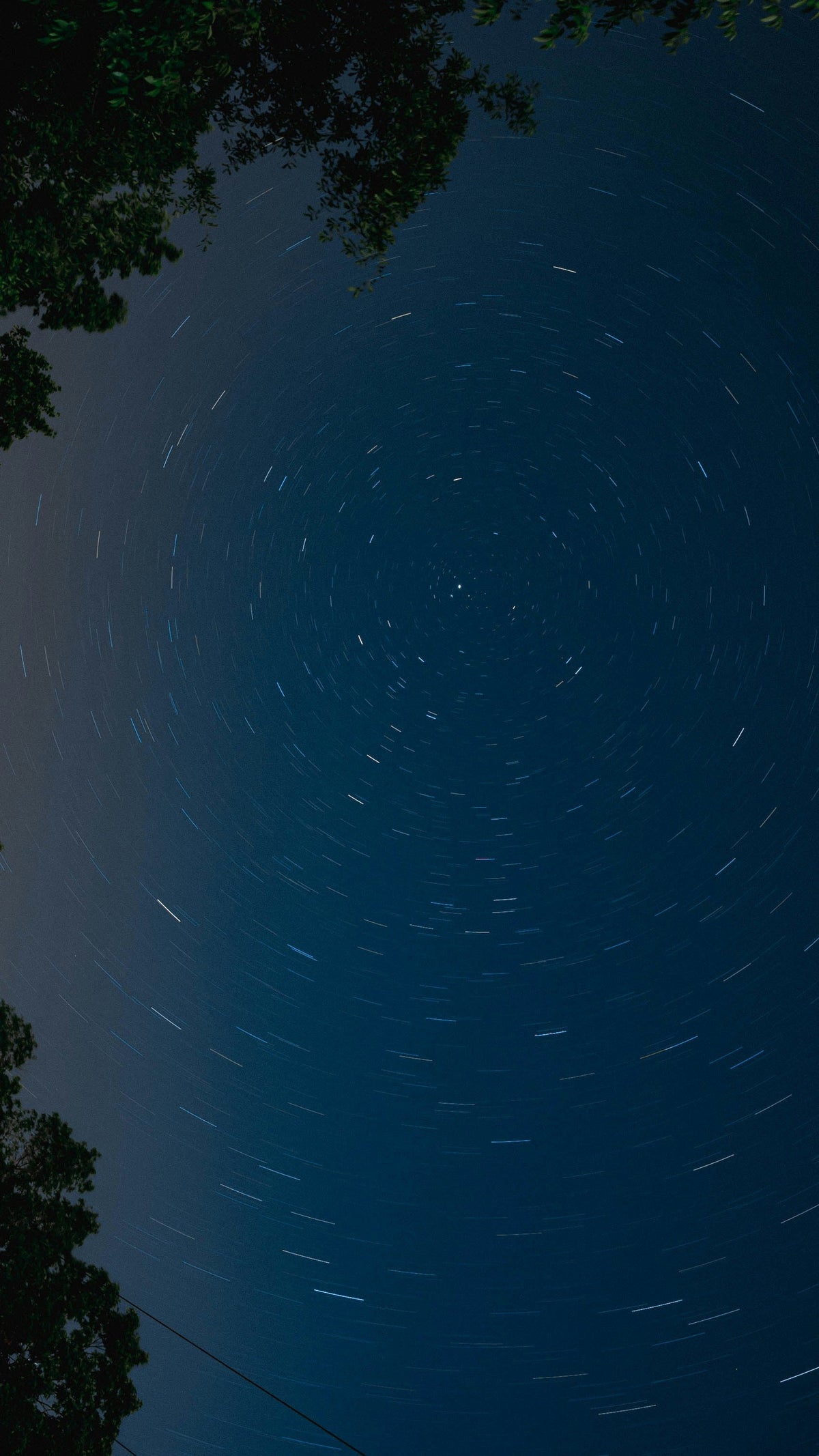Elegant Midnight Blue 50 ml Perfume Oil Rollerball