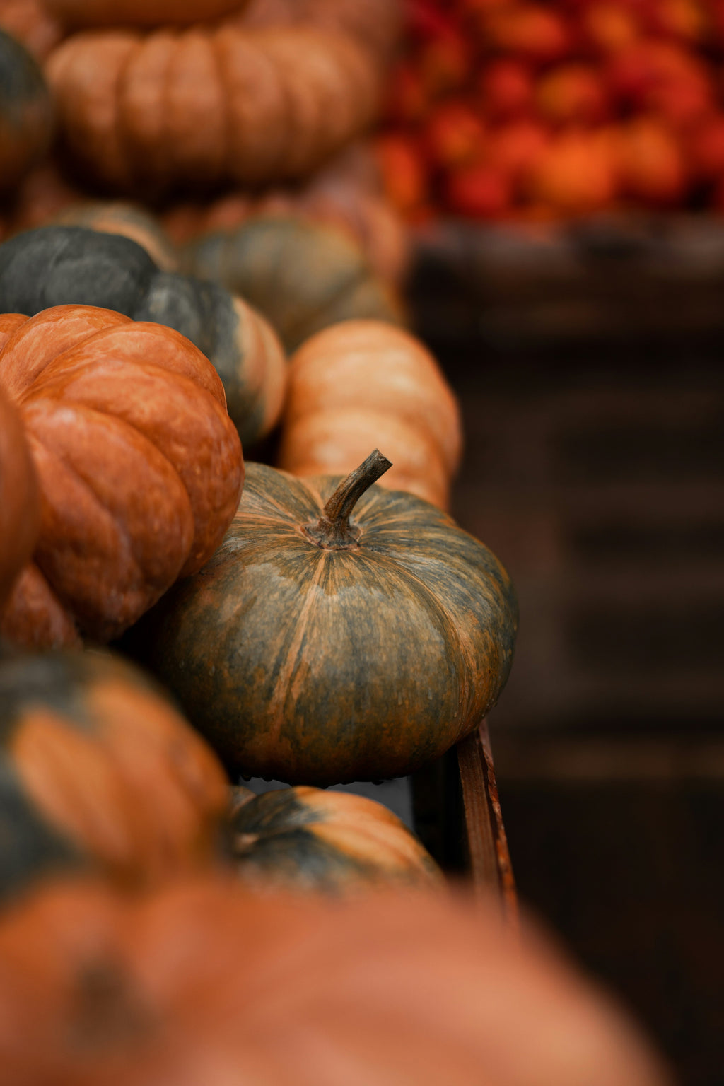 Signature Cinnamon Pumpkin 12 oz scented candle